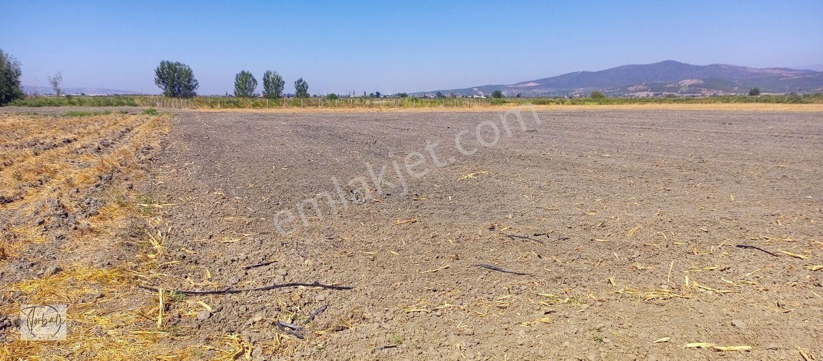Torbalı Emlak'tan Arslanlarda 2330m2 Hisse Olan Hazine Arazisi Satılıktır — fotoğraf 12