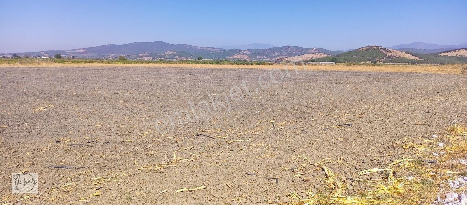 Torbalı Emlak'tan Arslanlarda 2330m2 Hisse Olan Hazine Arazisi Satılıktır — fotoğraf 13