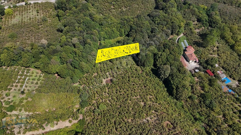 648 M² Dağyoncalıda Satılık Yatırımlık Tarla Kaçırılmayacak Fı — fotoğraf 3