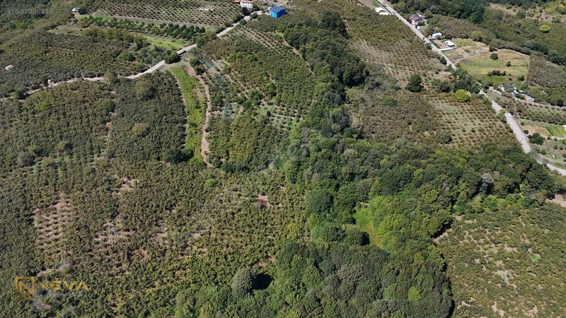 648 M² Dağyoncalıda Satılık Yatırımlık Tarla Kaçırılmayacak Fı — fotoğraf 5