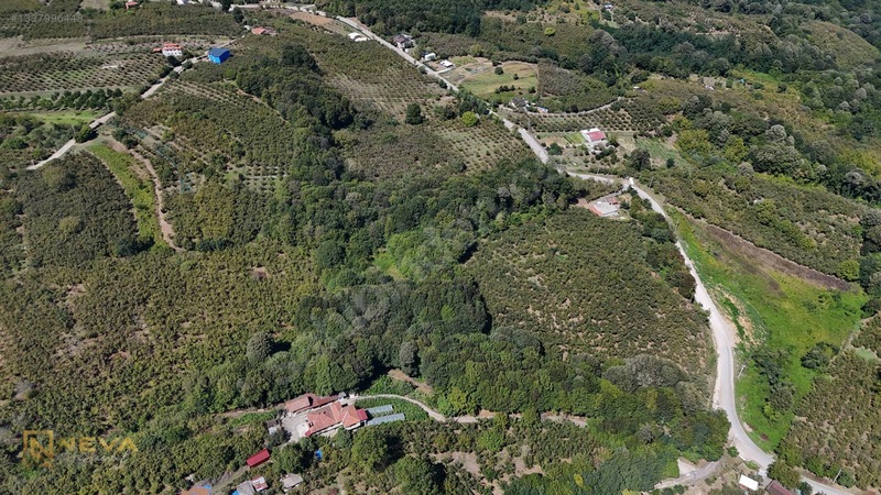 648 M² Dağyoncalıda Satılık Yatırımlık Tarla Kaçırılmayacak Fı — fotoğraf 7