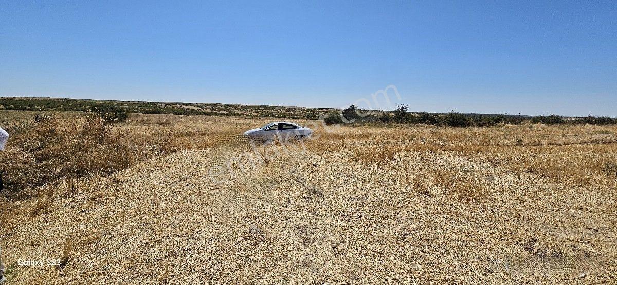 Satılık 7.200 M2 Süloğlu Taşlısekban Köyün'De