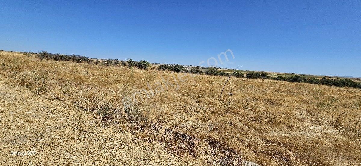 Satılık 7.200 M2 Süloğlu Taşlısekban Köyün'de — fotoğraf 2