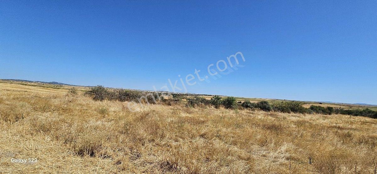 Satılık 7.200 M2 Süloğlu Taşlısekban Köyün'de — fotoğraf 3