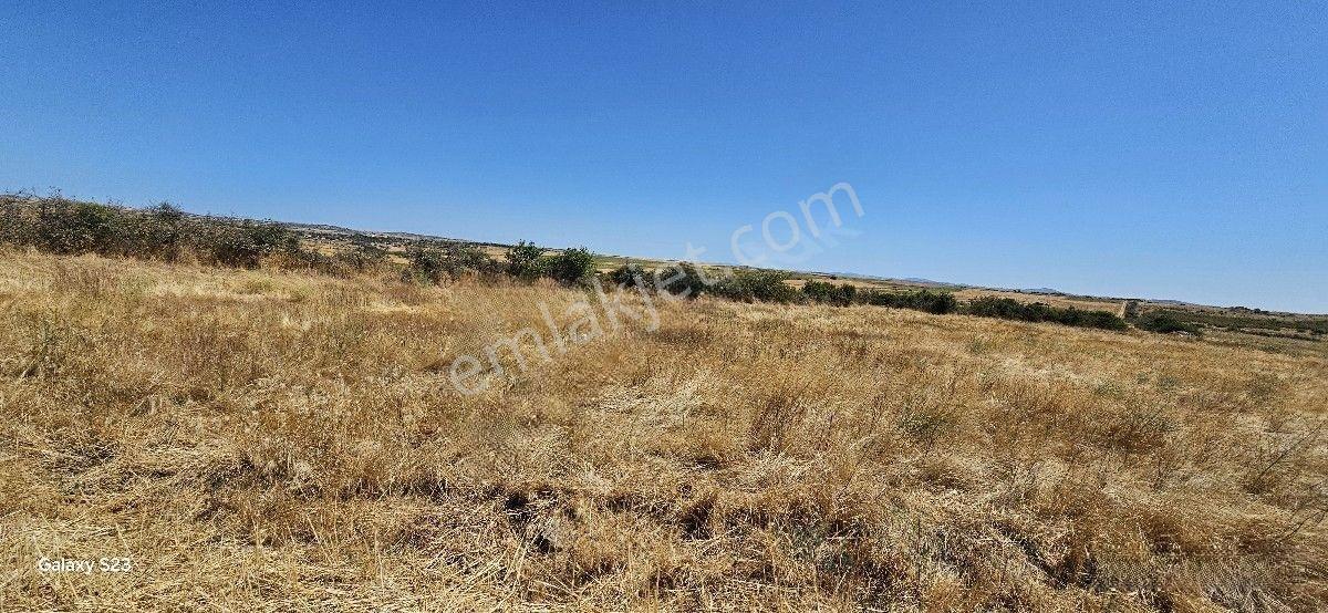 Satılık 7.200 M2 Süloğlu Taşlısekban Köyün'de — fotoğraf 4
