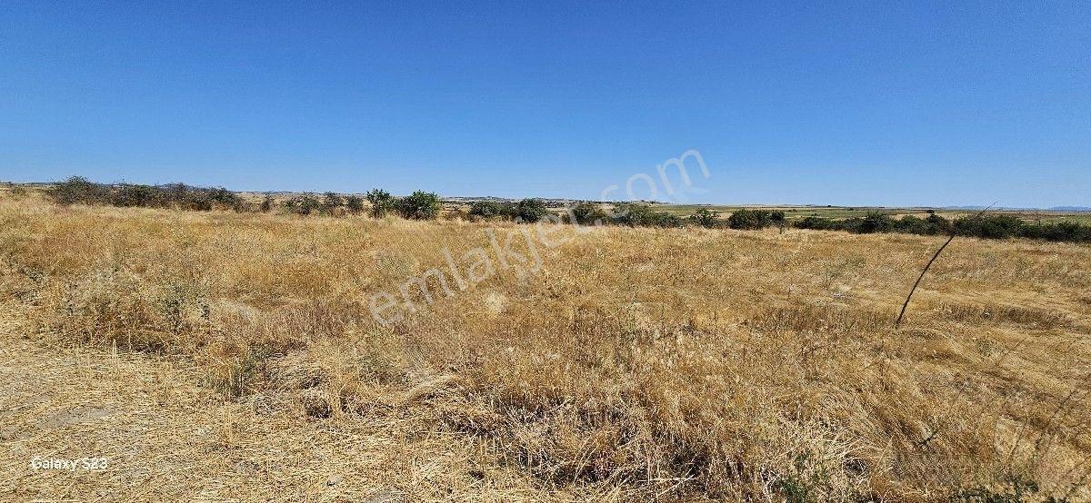 Satılık 7.200 M2 Süloğlu Taşlısekban Köyün'de — fotoğraf 5