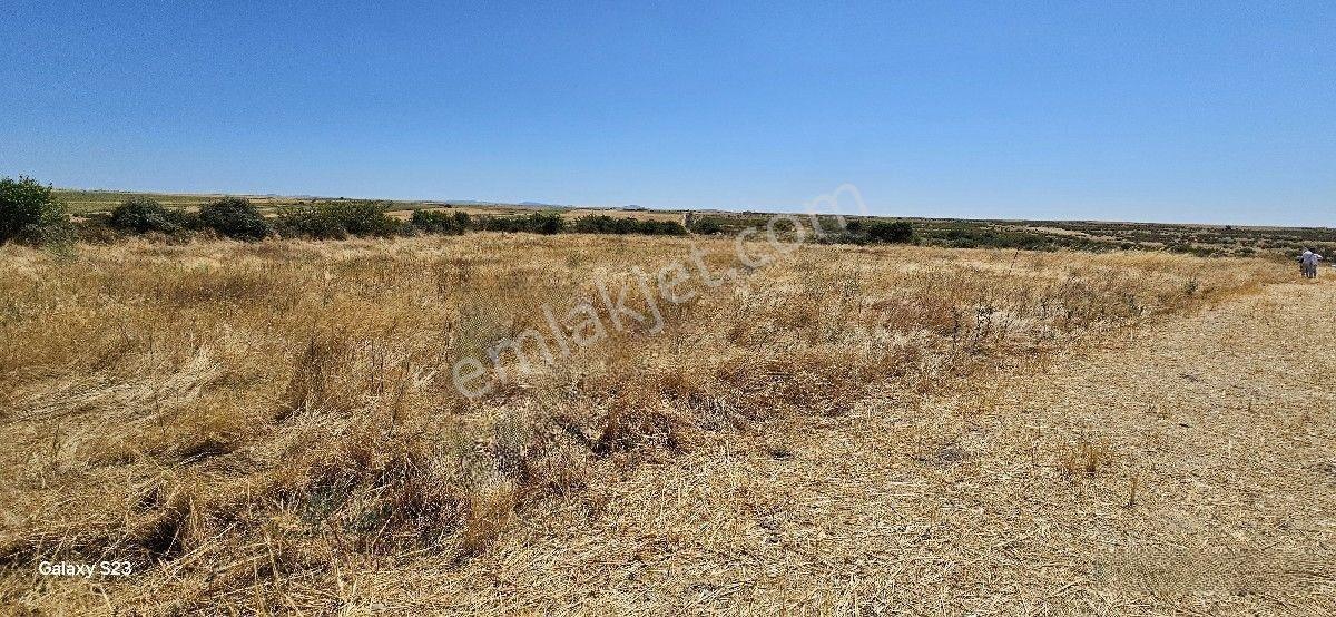 Satılık 7.200 M2 Süloğlu Taşlısekban Köyün'de — fotoğraf 6