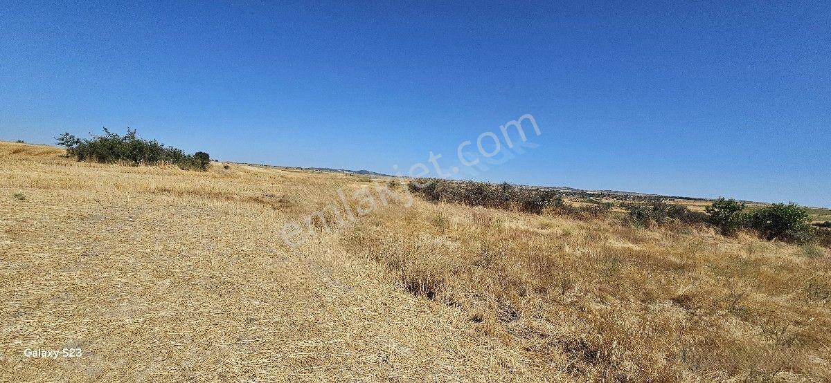 Satılık 7.200 M2 Süloğlu Taşlısekban Köyün'de — fotoğraf 7