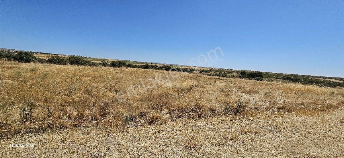 Satılık 7.200 M2 Süloğlu Taşlısekban Köyün'de — fotoğraf 8