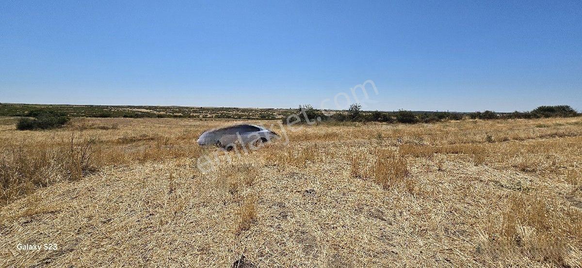 Satılık 7.200 M2 Süloğlu Taşlısekban Köyün'de — fotoğraf 9