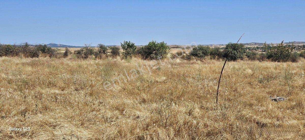 Satılık 7.200 M2 Süloğlu Taşlısekban Köyün'de — fotoğraf 10