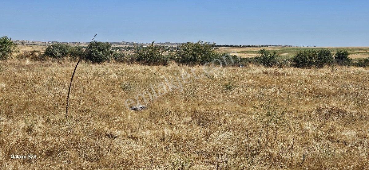 Satılık 7.200 M2 Süloğlu Taşlısekban Köyün'de — fotoğraf 11