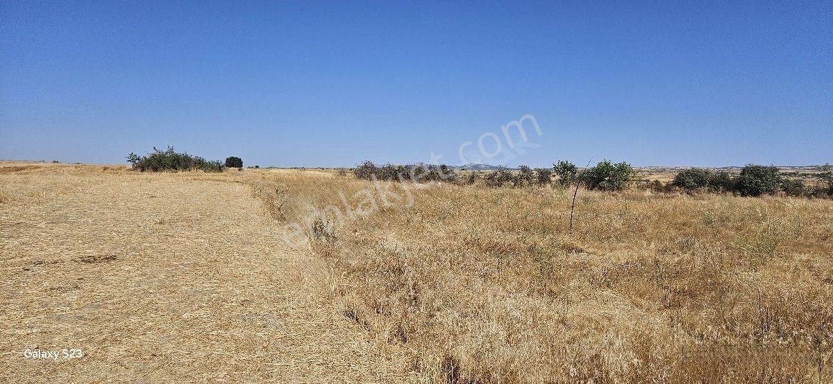 Satılık 7.200 M2 Süloğlu Taşlısekban Köyün'de — fotoğraf 12