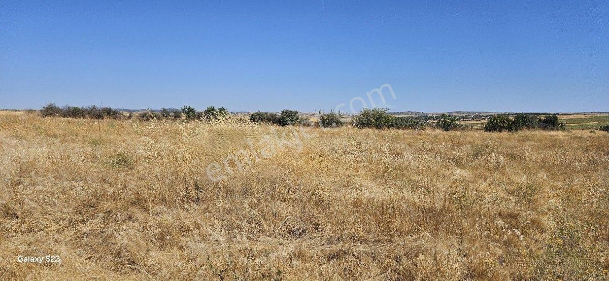 Satılık 7.200 M2 Süloğlu Taşlısekban Köyün'de — fotoğraf 13
