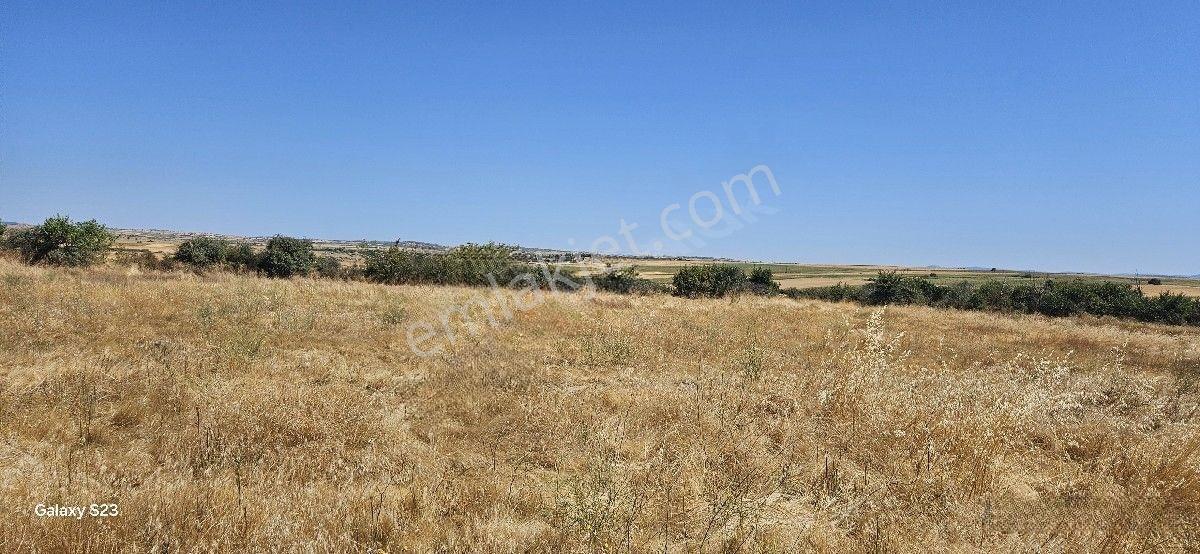 Satılık 7.200 M2 Süloğlu Taşlısekban Köyün'de — fotoğraf 14