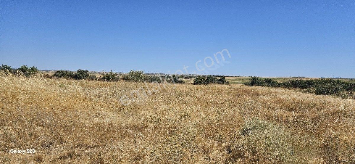 Satılık 7.200 M2 Süloğlu Taşlısekban Köyün'de — fotoğraf 15