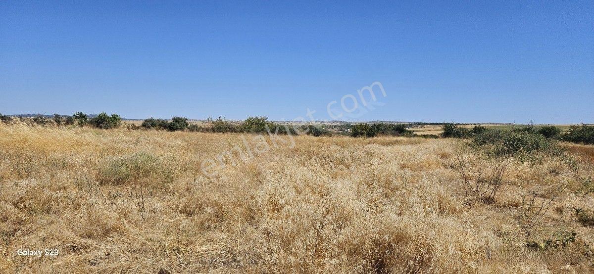 Satılık 7.200 M2 Süloğlu Taşlısekban Köyün'de — fotoğraf 16