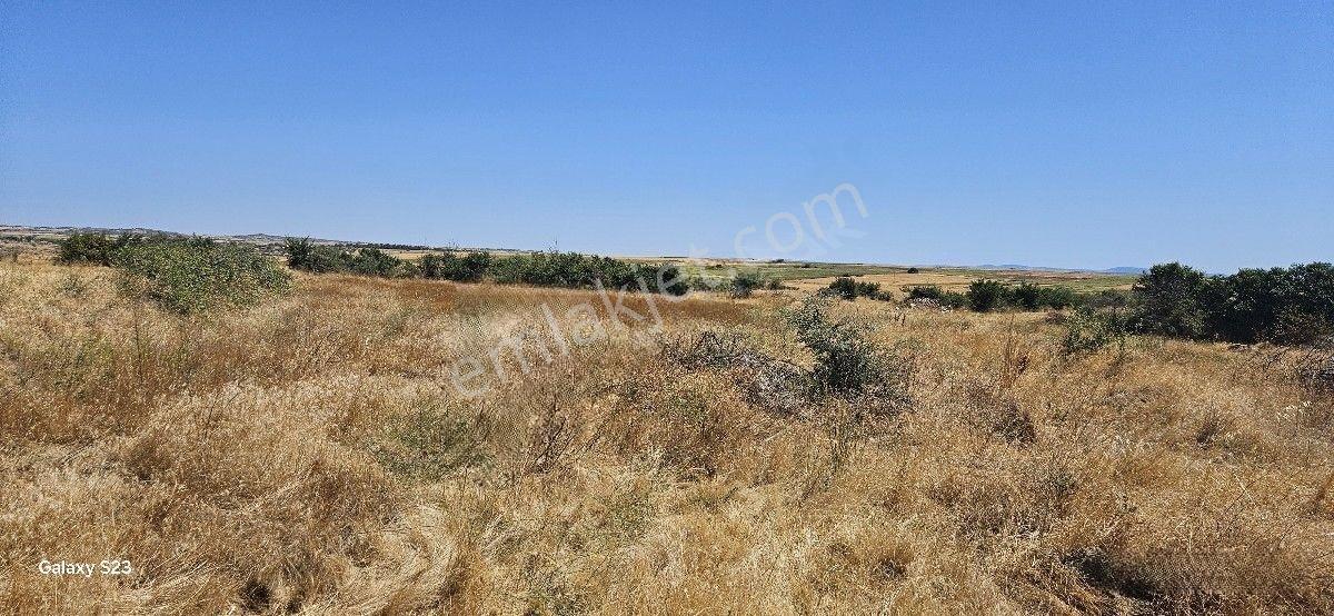 Satılık 7.200 M2 Süloğlu Taşlısekban Köyün'de — fotoğraf 17
