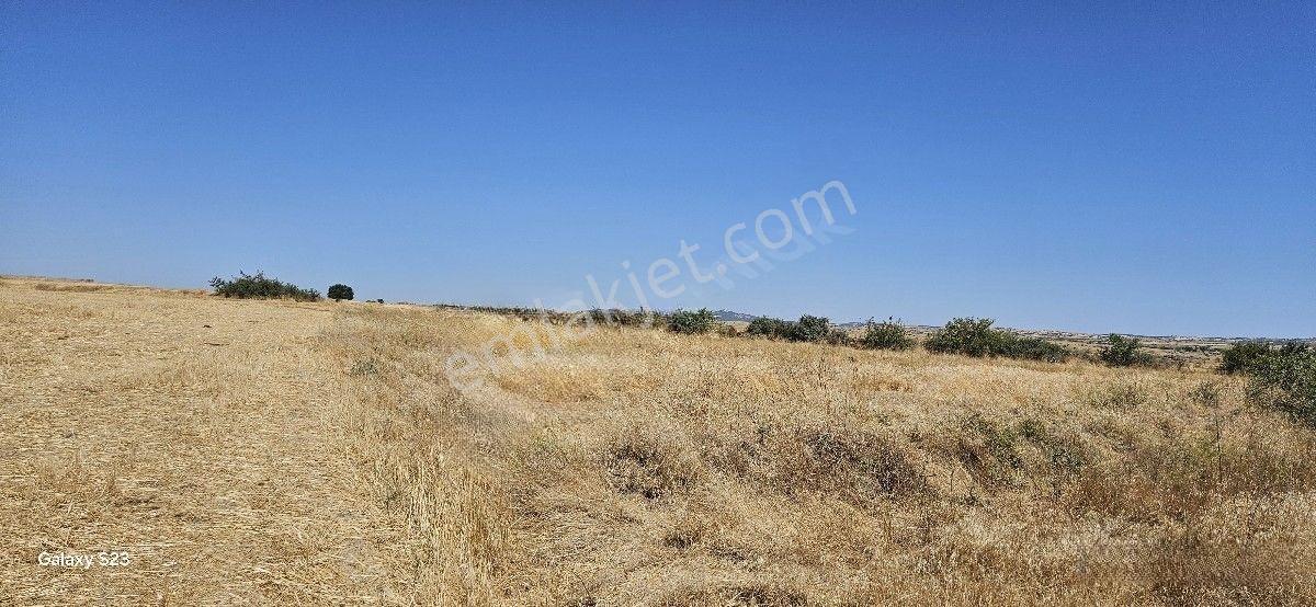 Satılık 7.200 M2 Süloğlu Taşlısekban Köyün'de — fotoğraf 18
