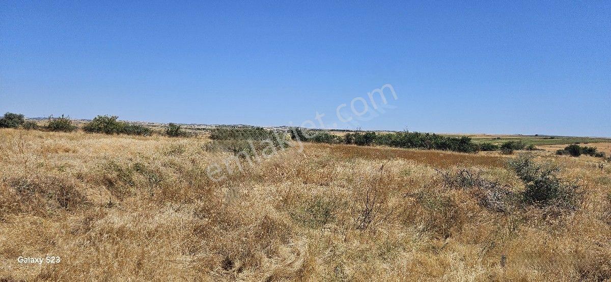 Satılık 7.200 M2 Süloğlu Taşlısekban Köyün'de — fotoğraf 19