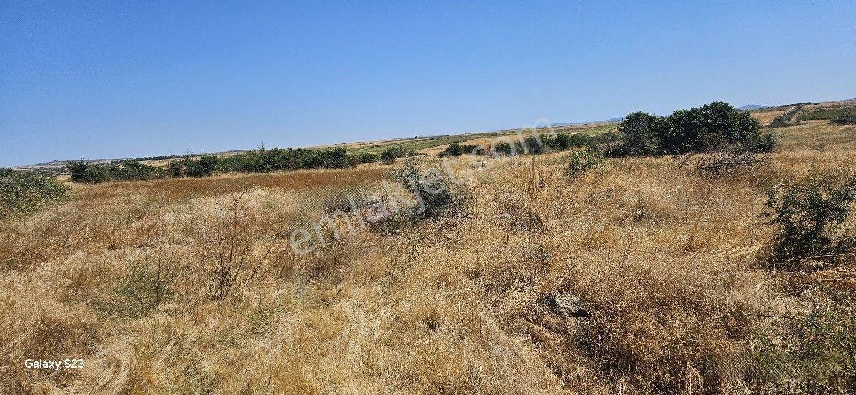 Satılık 7.200 M2 Süloğlu Taşlısekban Köyün'de — fotoğraf 20