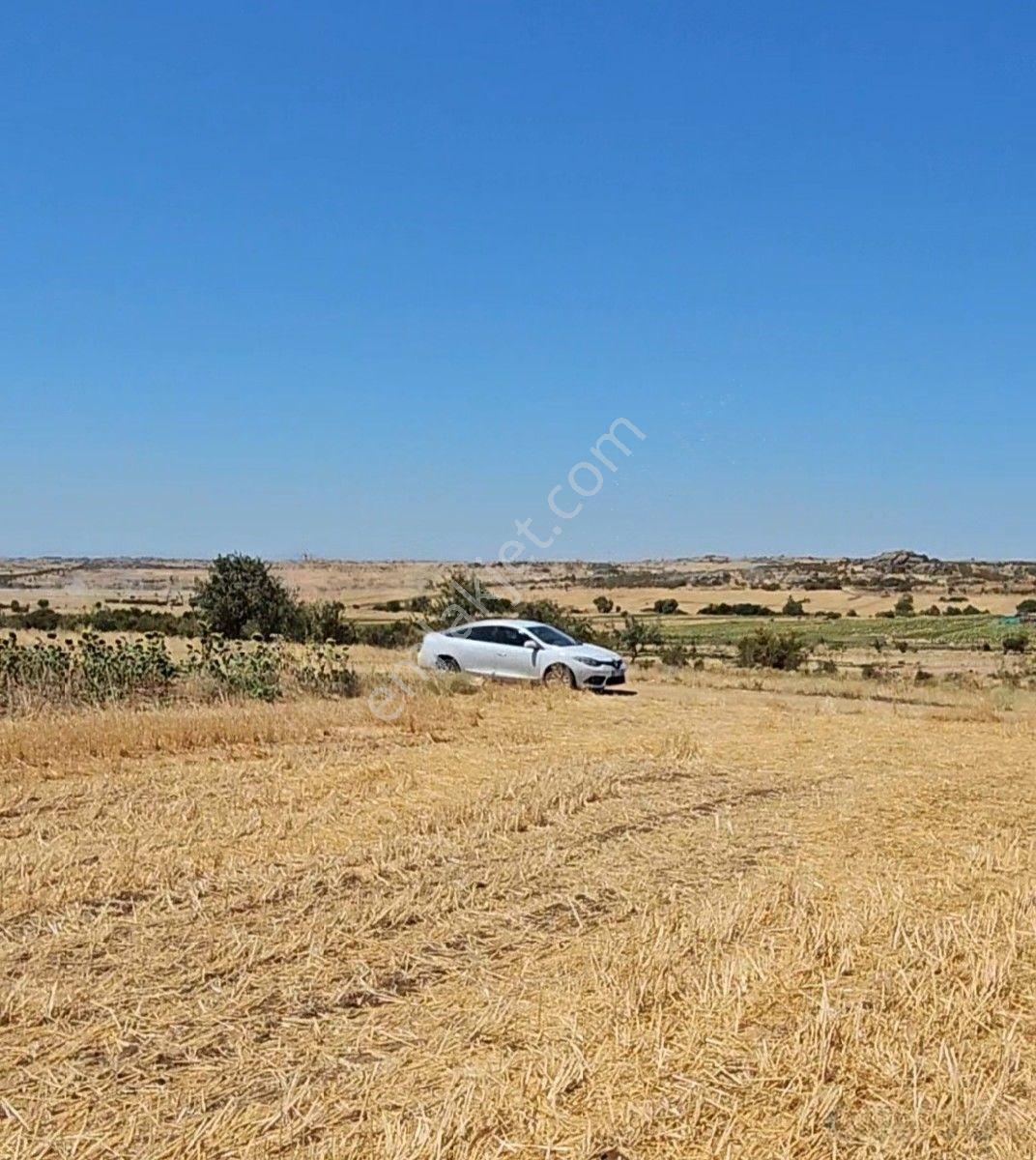 Satılık 10 Dönüm Arazi Süloğlu Tatarlar'da — fotoğraf 4