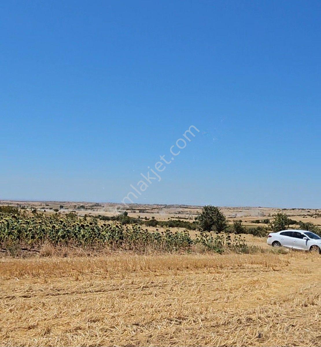 Satılık 10 Dönüm Arazi Süloğlu Tatarlar'da — fotoğraf 7