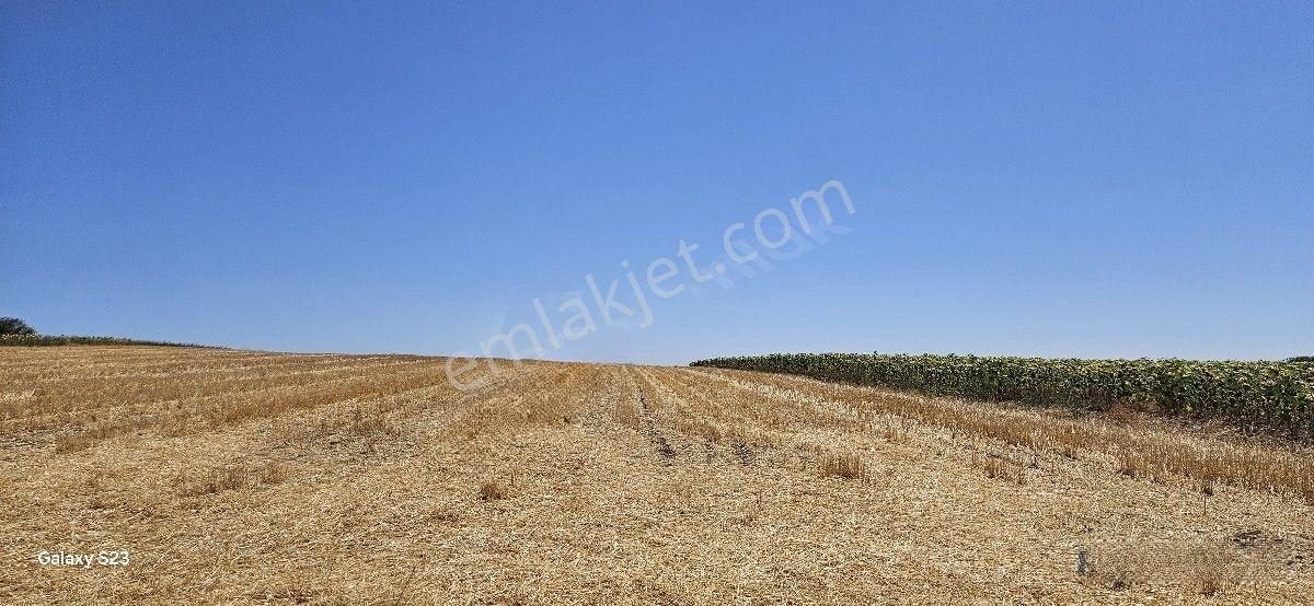 Satılık 10 Dönüm Arazi Süloğlu Tatarlar'da — fotoğraf 11