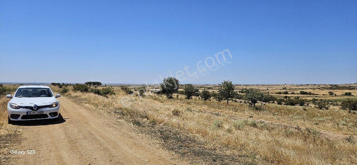 Satılık 10 Dönüm Arazi Süloğlu Tatarlar'da — fotoğraf 13