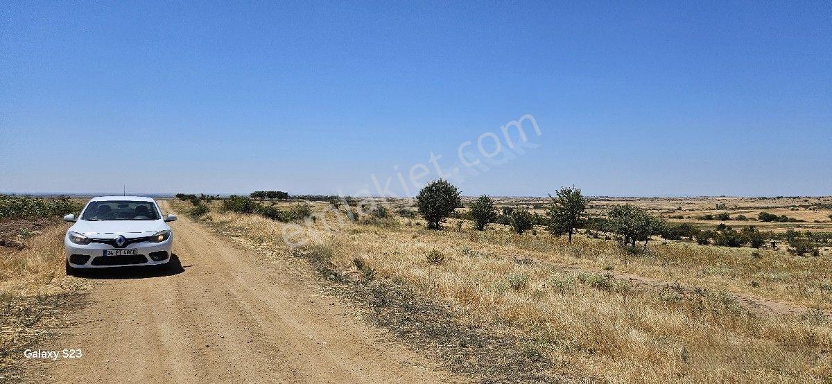 Satılık 10 Dönüm Arazi Süloğlu Tatarlar'da — fotoğraf 15