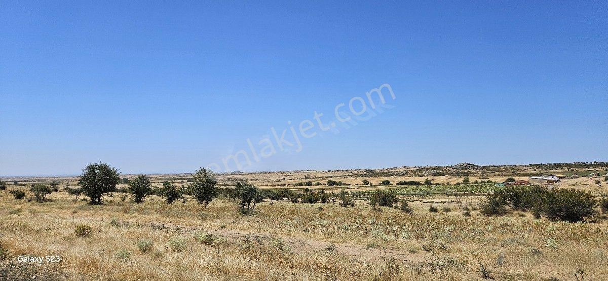 Satılık 10 Dönüm Arazi Süloğlu Tatarlar'da — fotoğraf 18