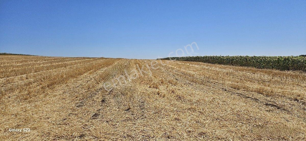 Satılık 10 Dönüm Arazi Süloğlu Tatarlar'da — fotoğraf 19