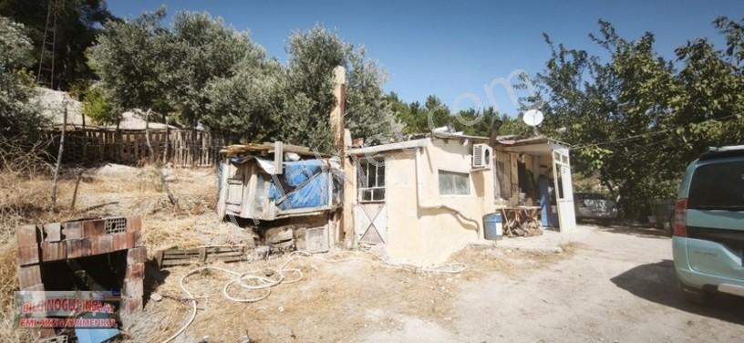 Bilginoğlu Emlaktan Örnek Köy De Satılık Zeytinlik — fotoğraf 15