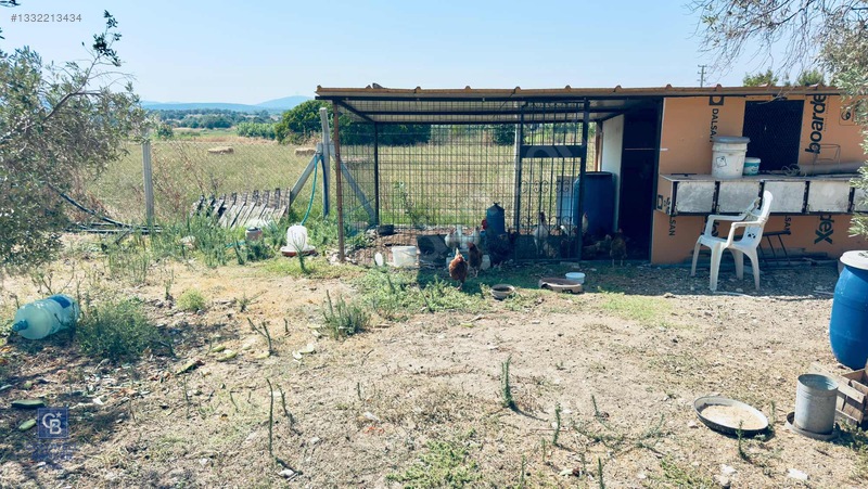 Urla Kuşçularda Doğayla İç İçe, Lüks 4+1 Villa — fotoğraf 20