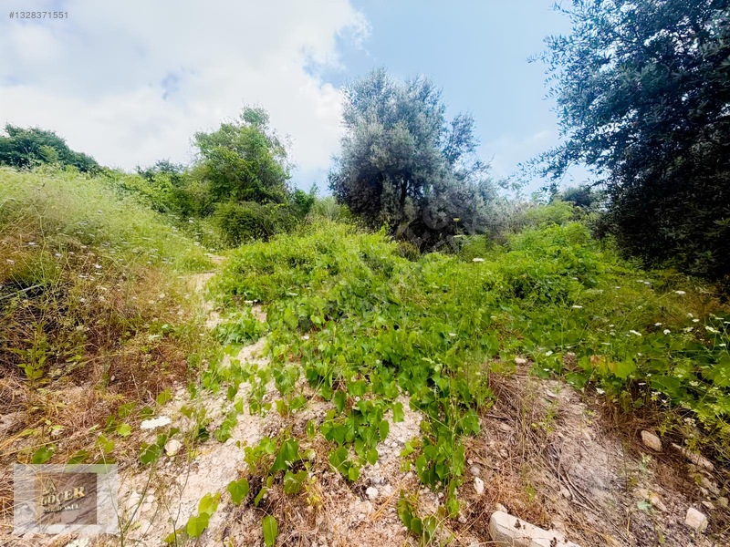 Göçer'den Çelebilide 565 M² Arsa İçinde 1+1 Müstakil Ev — fotoğraf 13