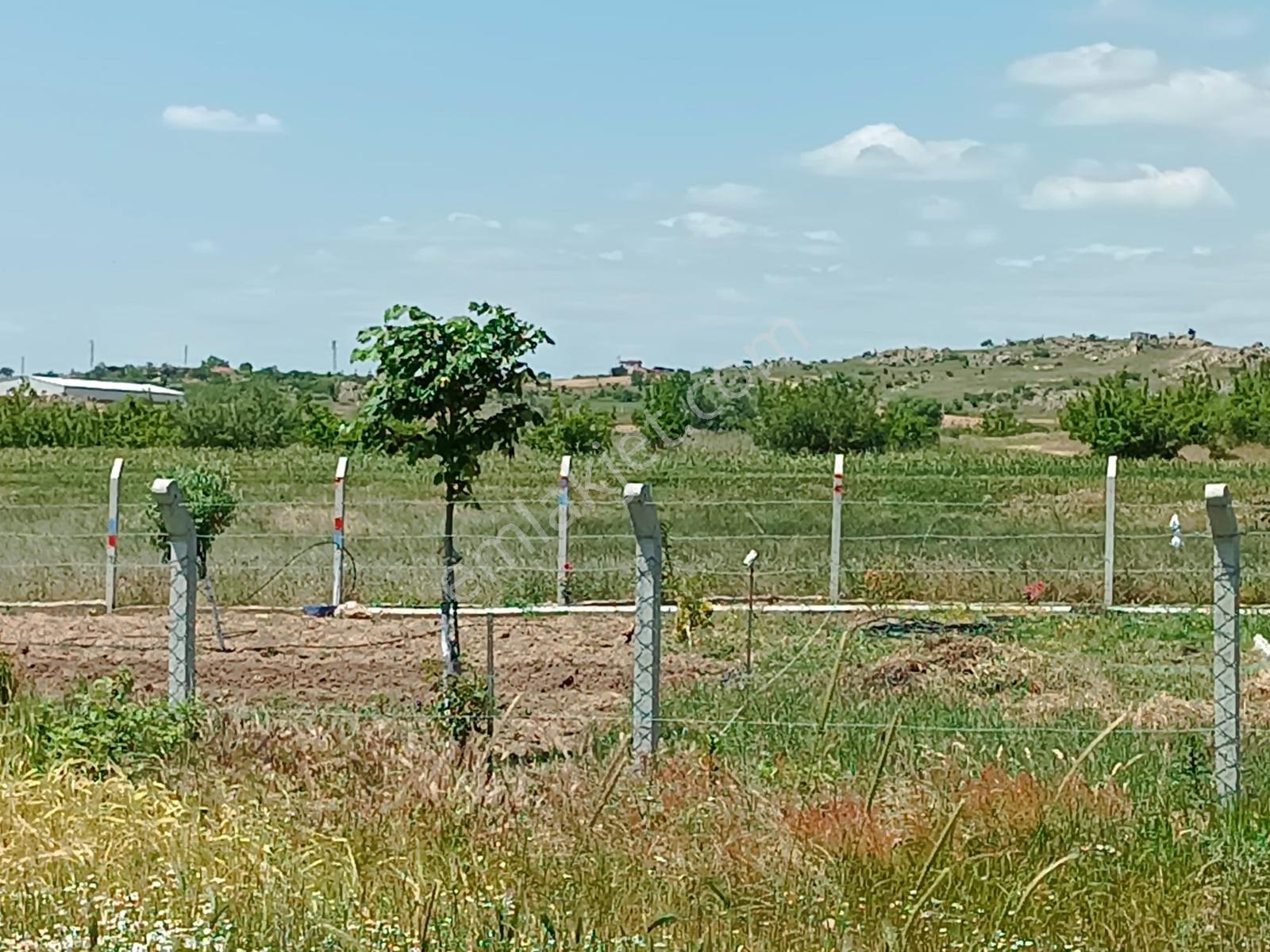 Newcıty Emlaktan Karakoçta Satılık Tarla 3.056 M2 — fotoğraf 2
