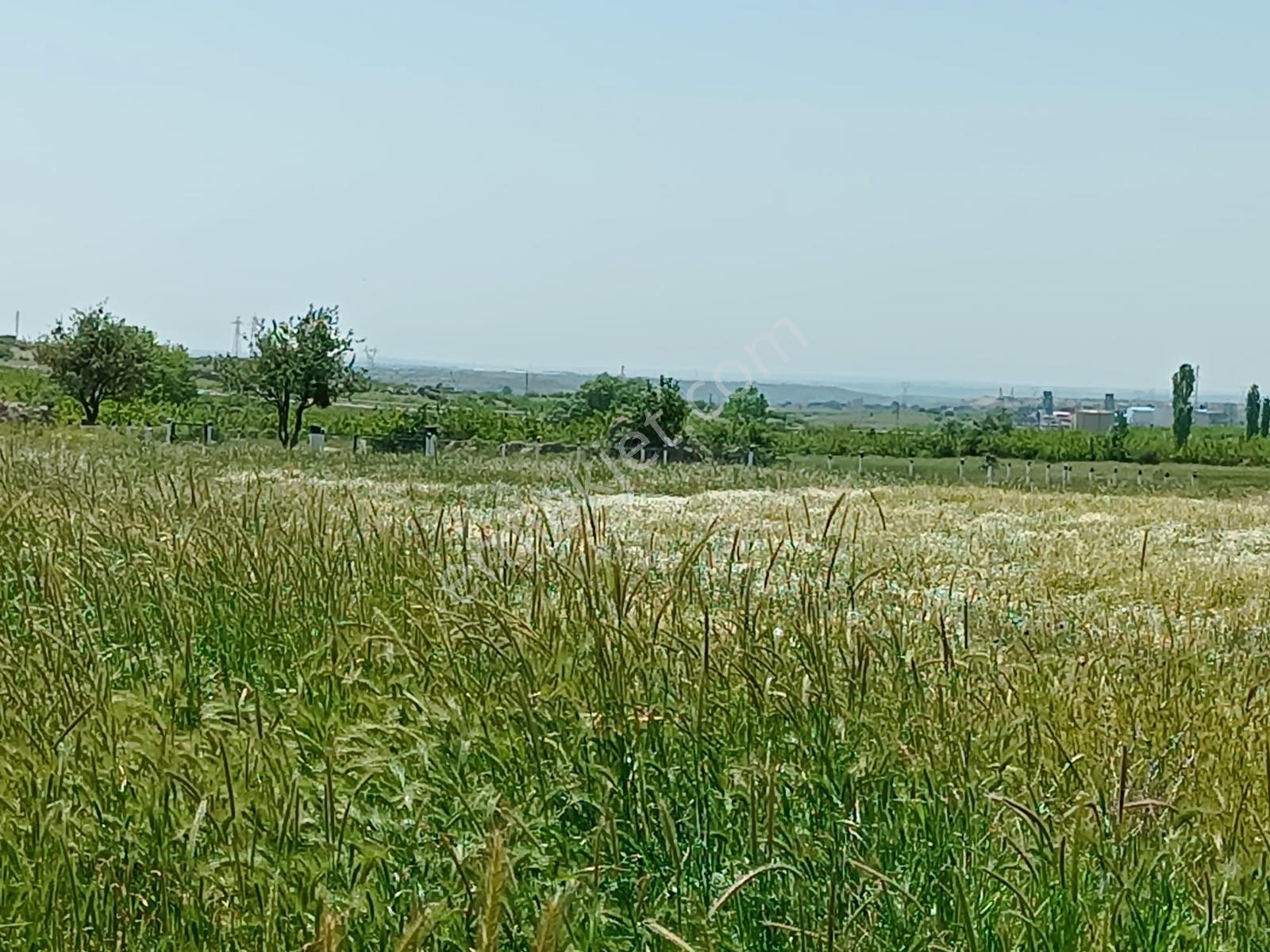 Newcıty Emlaktan Karakoçta Satılık Tarla 3.056 M2 — fotoğraf 3