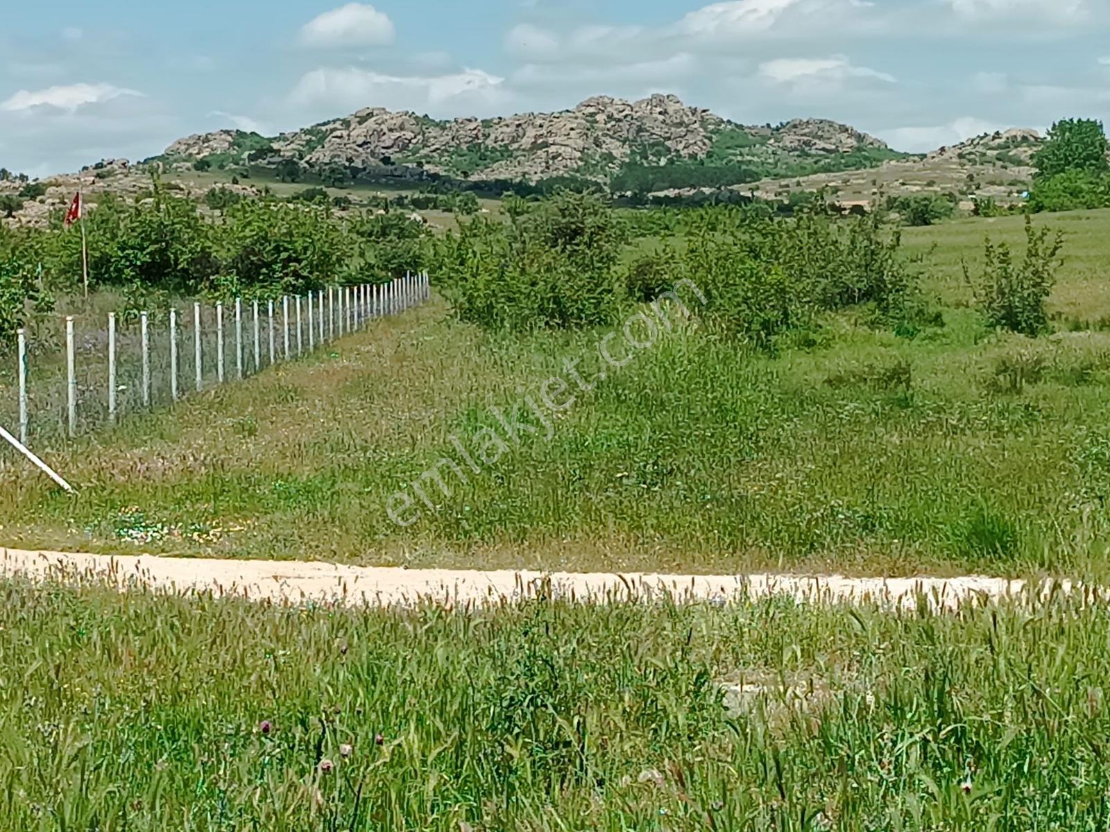 Newcıty Emlaktan Karakoçta Satılık Tarla 3.056 M2 — fotoğraf 4