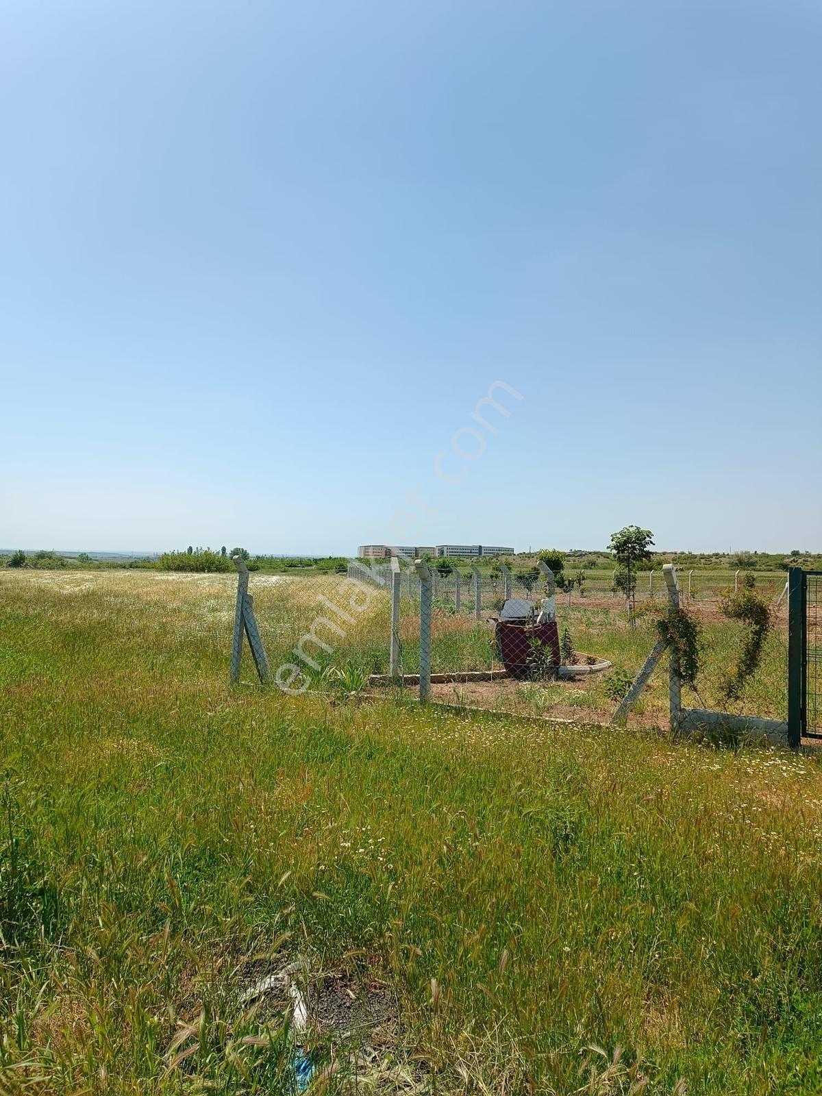 Newcıty Emlaktan Karakoçta Satılık Tarla 3.056 M2 — fotoğraf 5