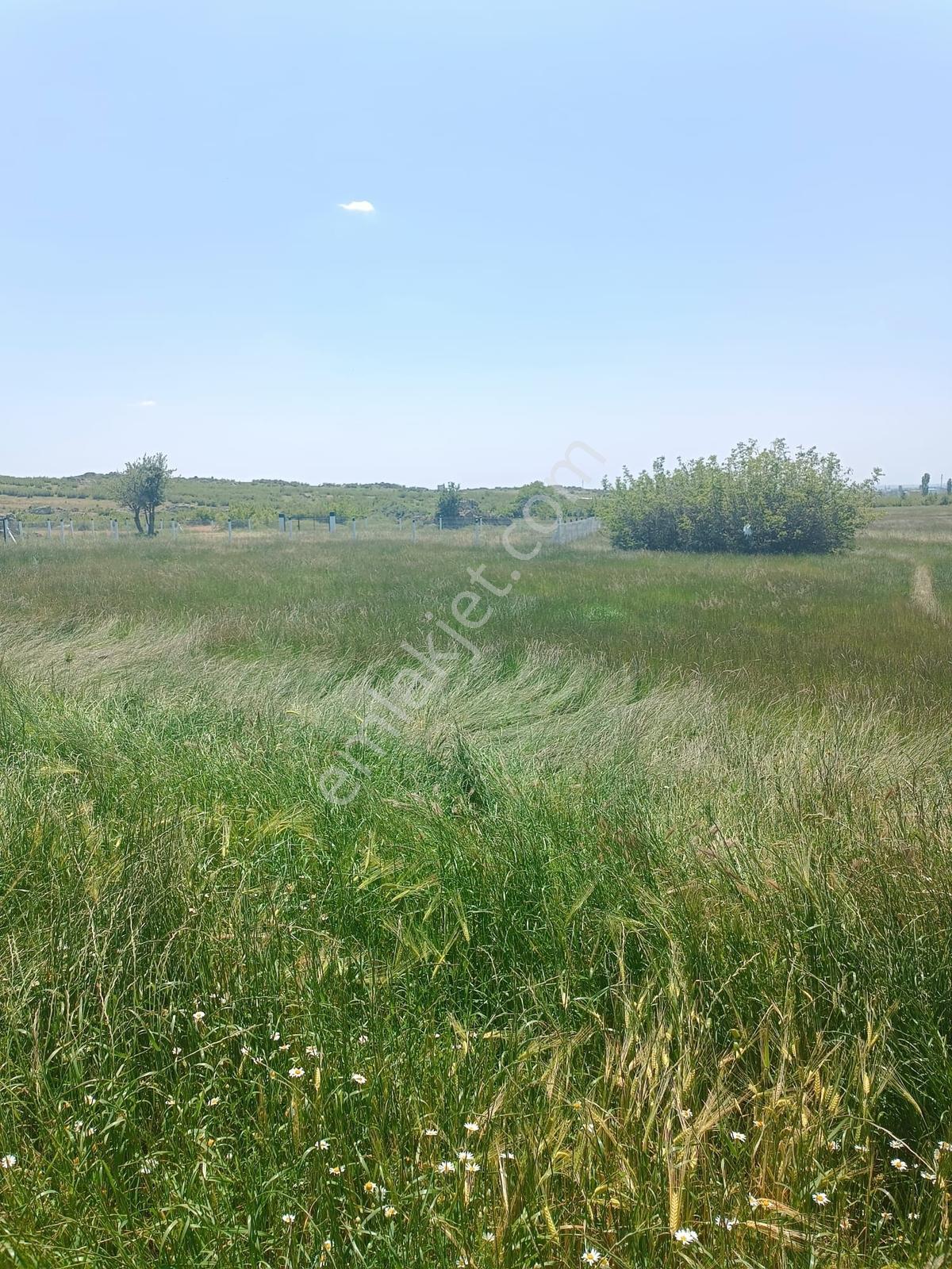Newcıty Emlaktan Karakoçta Satılık Tarla 3.056 M2 — fotoğraf 6