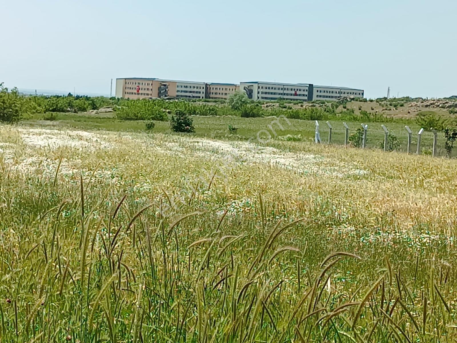 Newcıty Emlaktan Karakoçta Satılık Tarla 3.056 M2 — fotoğraf 7