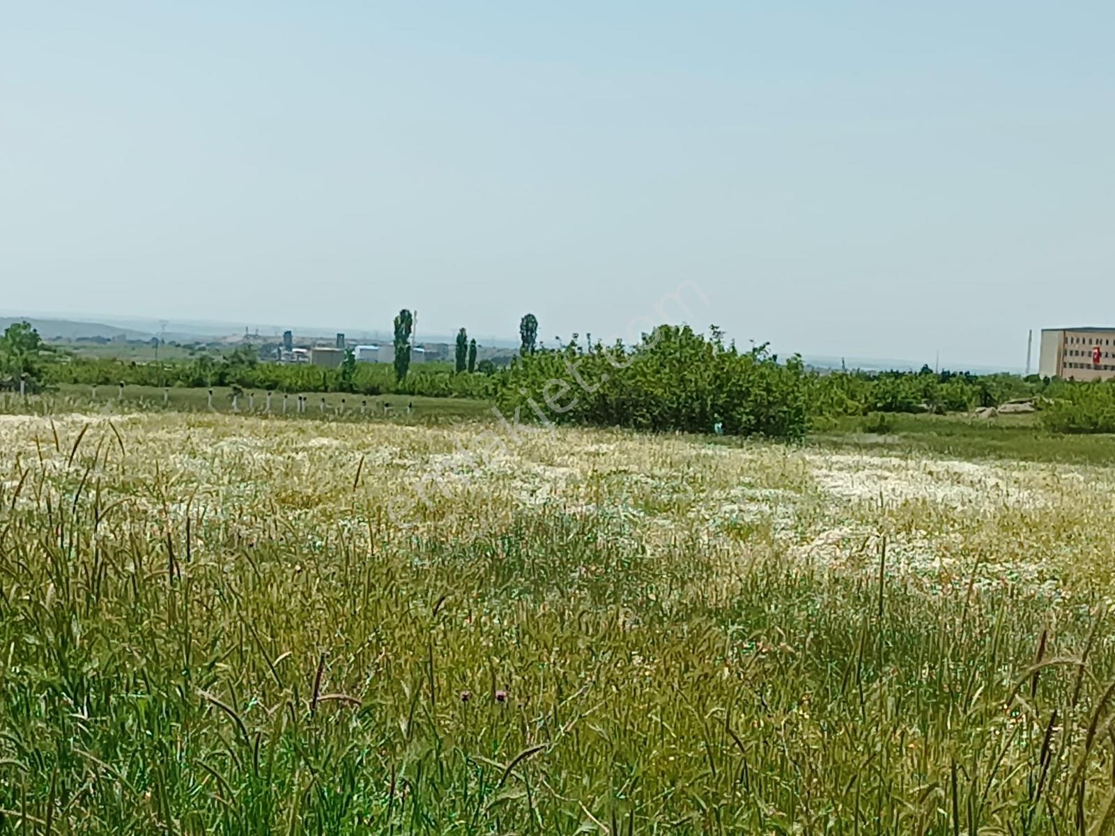 Newcıty Emlaktan Karakoçta Satılık Tarla 3.056 M2 — fotoğraf 8