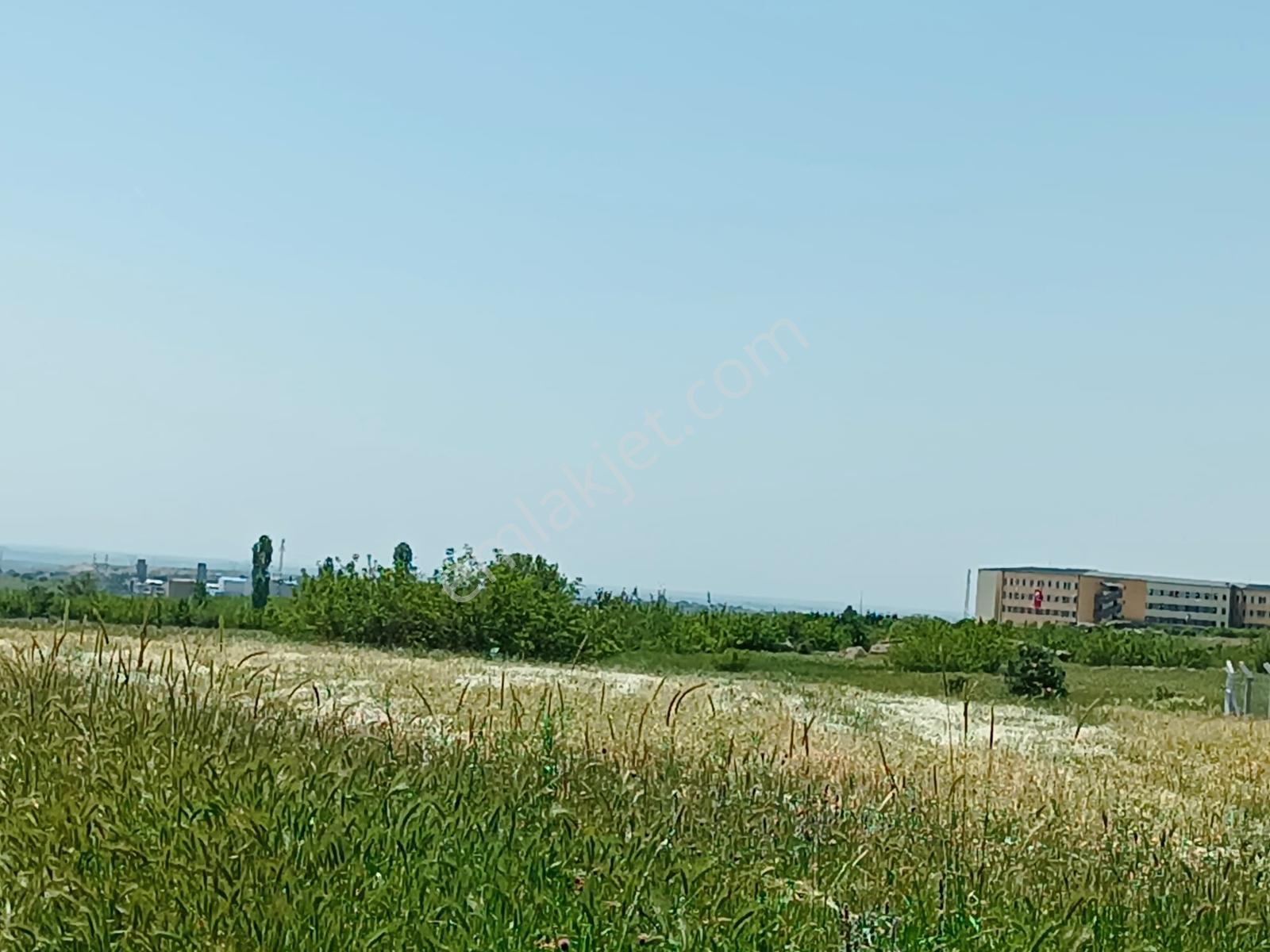 Newcıty Emlaktan Karakoçta Satılık Tarla 3.056 M2 — fotoğraf 9