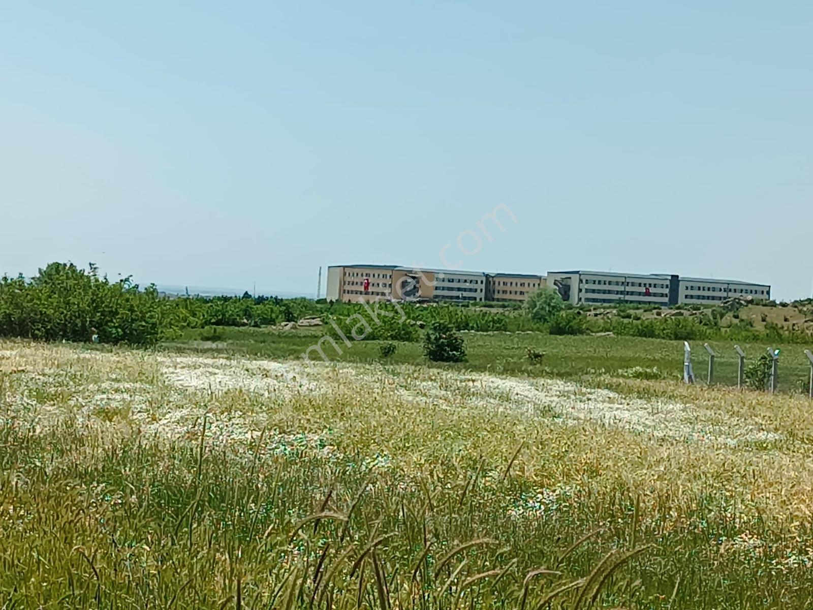 Newcıty Emlaktan Karakoçta Satılık Tarla 3.056 M2 — fotoğraf 14