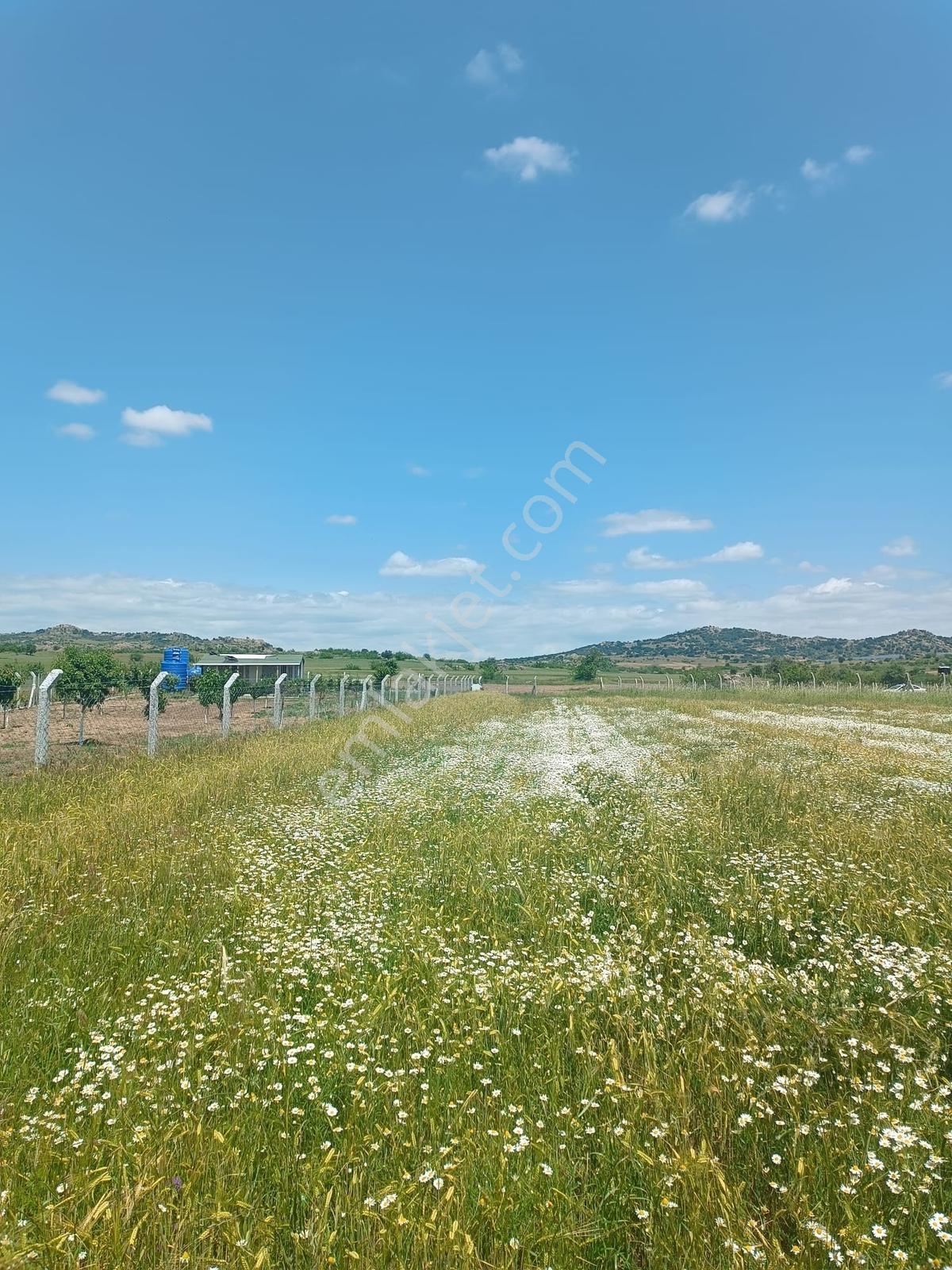 Newcıty Emlaktan Karakoçta Satılık Tarla 3.056 M2 — fotoğraf 15