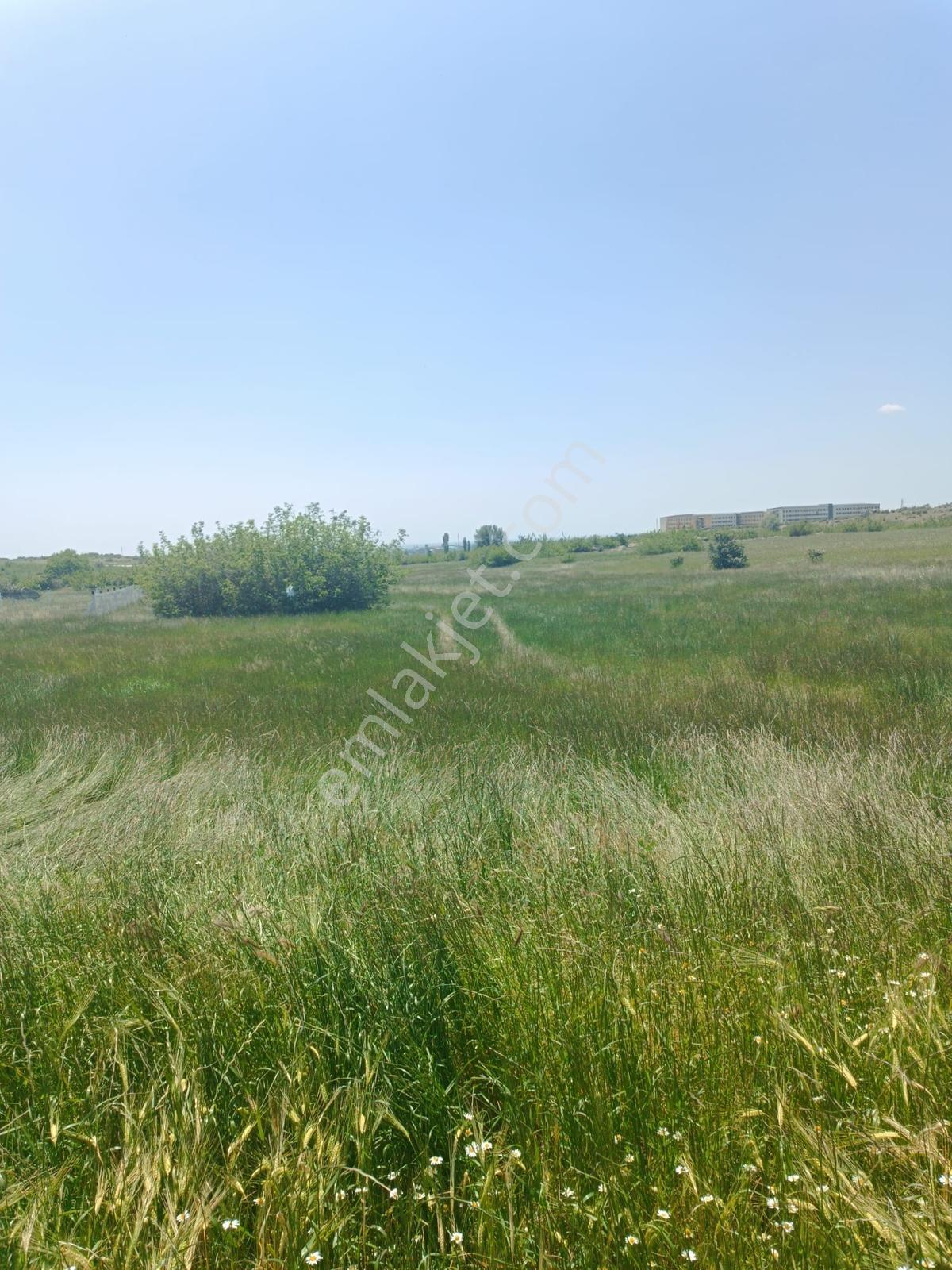 Newcıty Emlaktan Karakoçta Satılık Tarla 3.056 M2 — fotoğraf 17