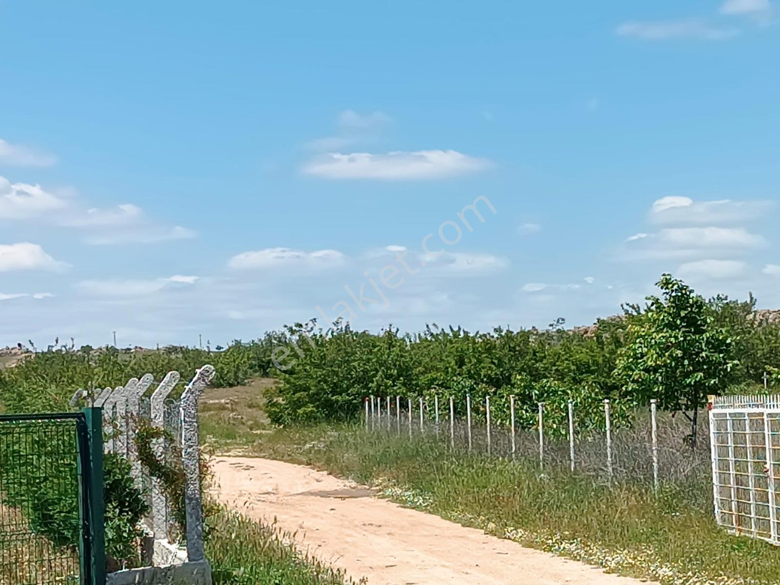 Newcıty Emlaktan Karakoçta Satılık Tarla 3.056 M2 — fotoğraf 23