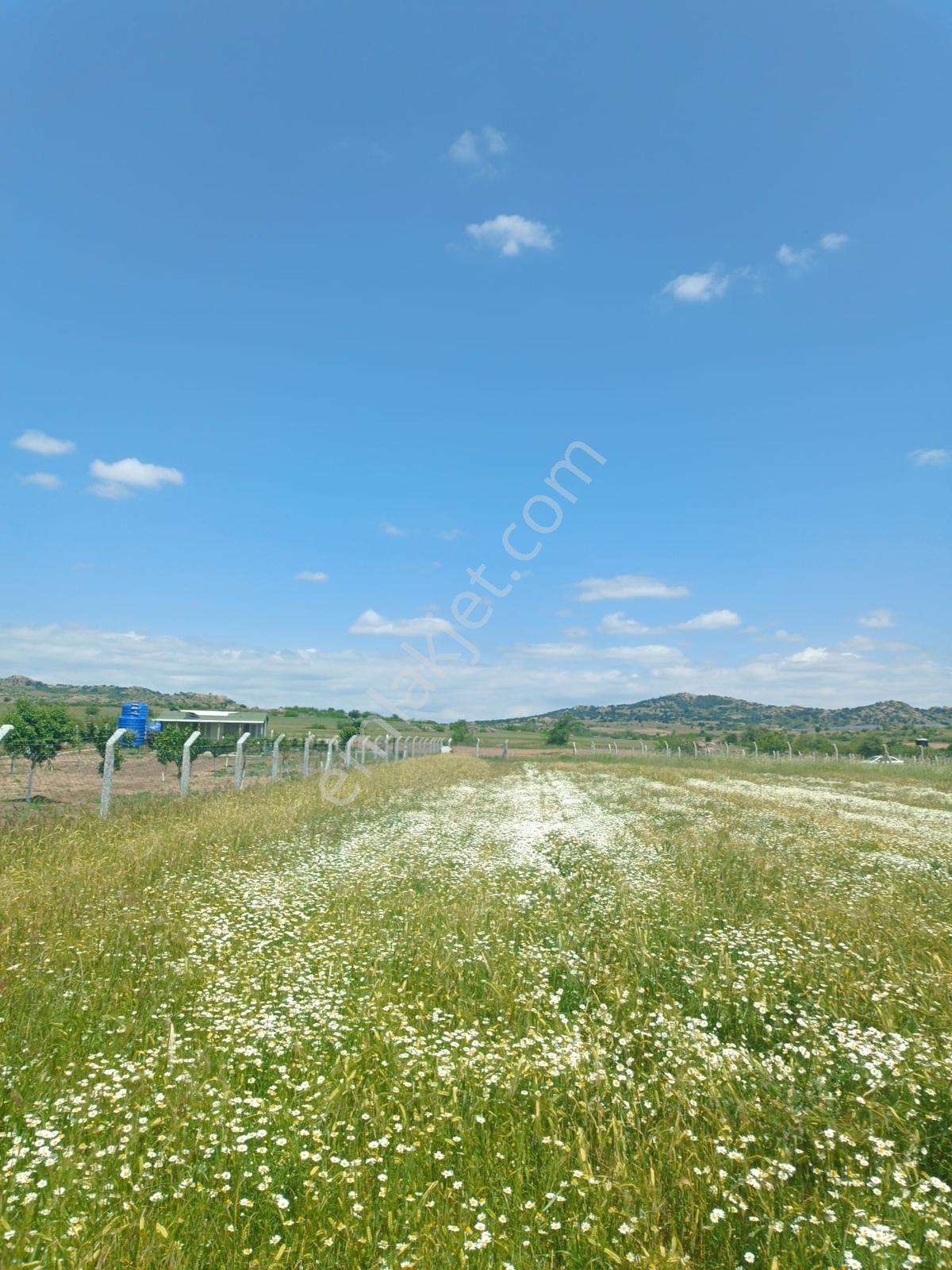 Newcıty Emlaktan Karakoçta Satılık Tarla 3.056 M2 — fotoğraf 27