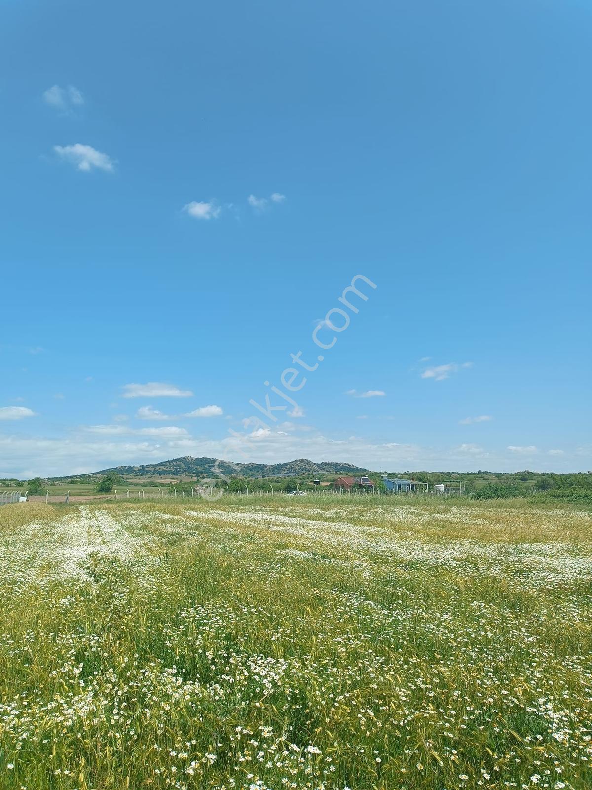 Newcıty Emlaktan Karakoçta Satılık Tarla 3.056 M2 — fotoğraf 28