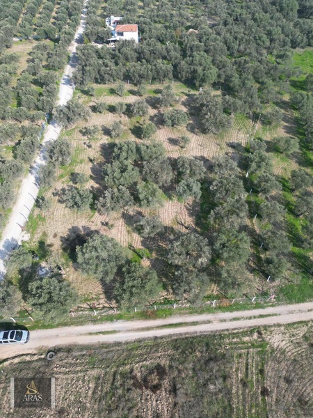 Aras Gayrimenkulden Efendi Mah. 3.380 M2 Sulu Hobi Bahçesi